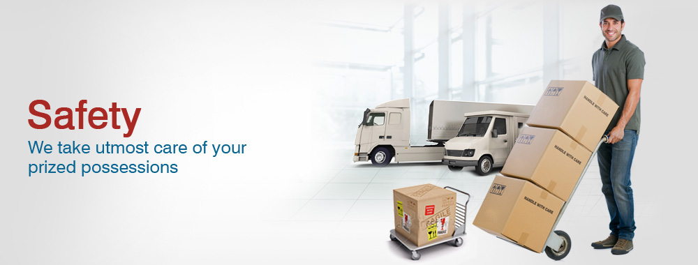 AmeriCourex Logistics Operations